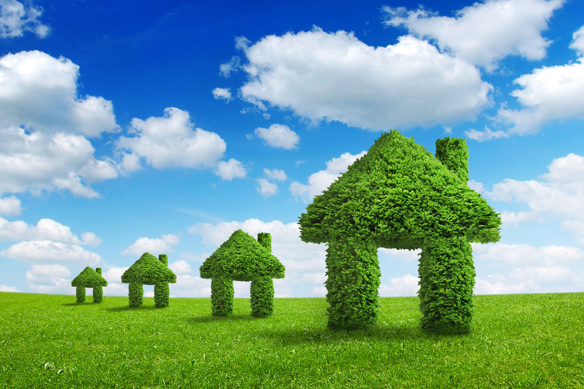 eco-friendly home represented by trees