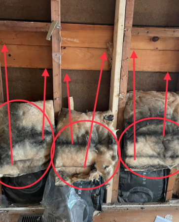 air leaks getting into home