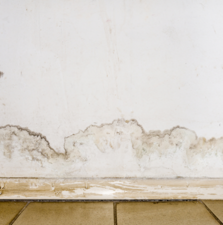 drywall moisture