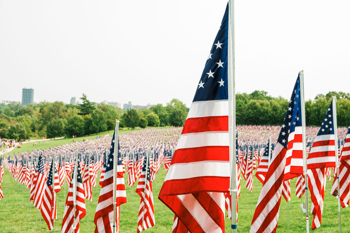 American flags in field