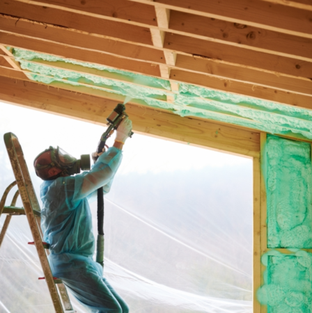 insulation evolution