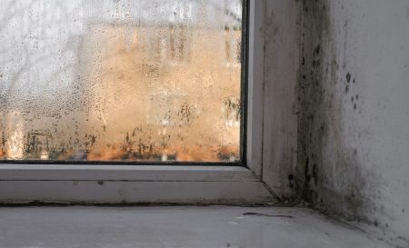 Window mold and mildew