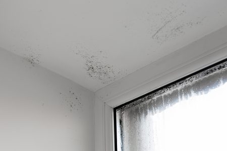 Preventing Wall Condensation
